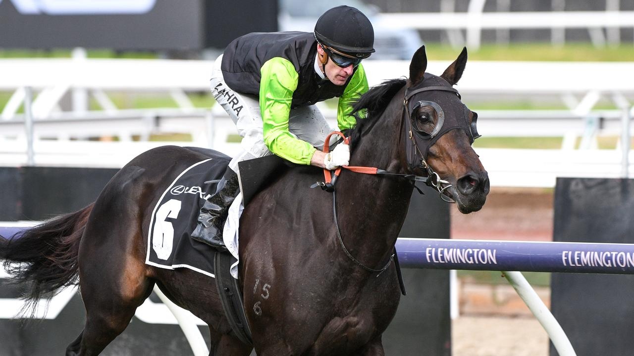 Realm Of Flowers Scores Melbourne Cup Berth Image 1